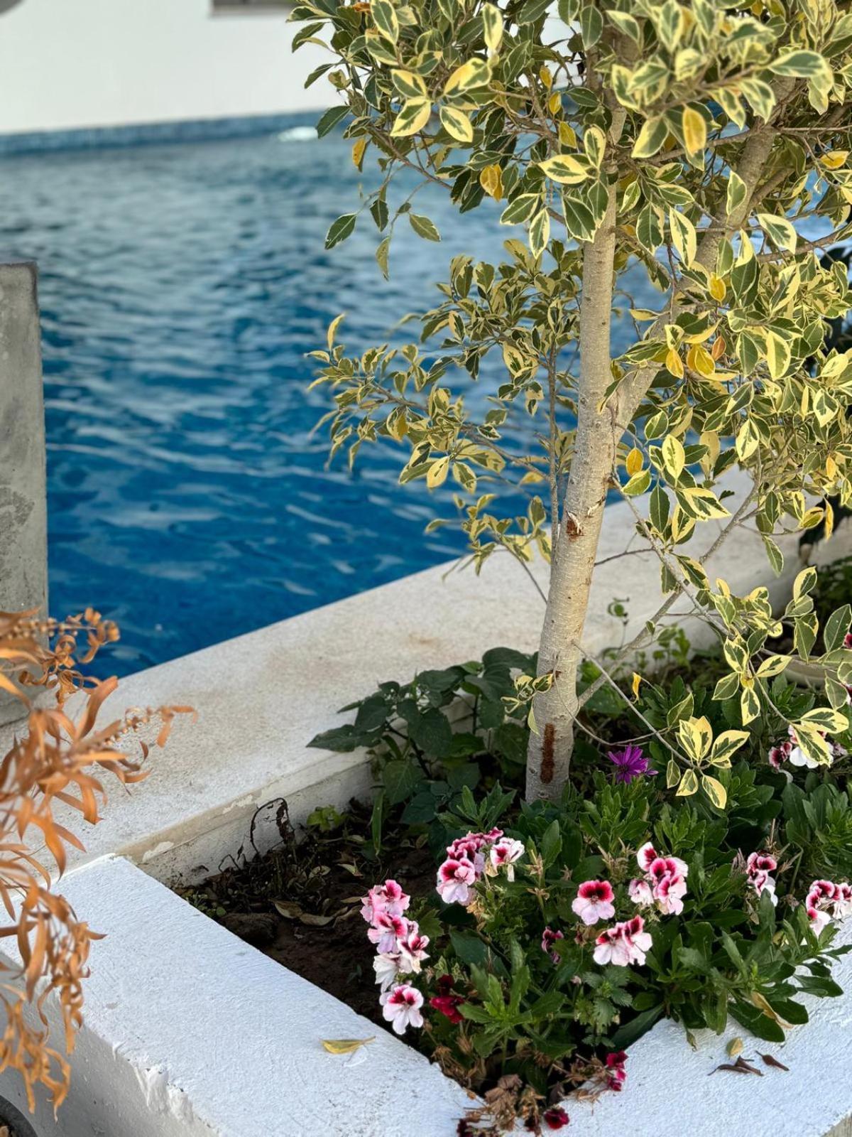 Apartamento La Cascade Hammam Al Ghazzaz Kelibia Exterior foto